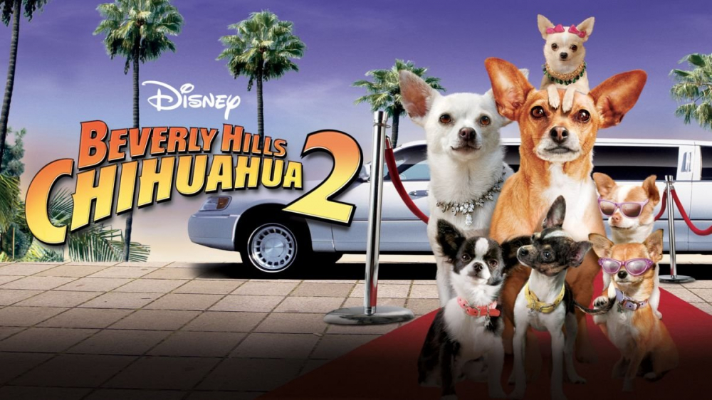 Series Phim Những Chú Chó Chihuahua Ở Đồi Beverly - Beverly Hills Chihuahua