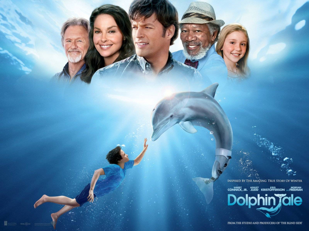 Series Phim Câu Chuyện Cá Heo - Dolphin Tale