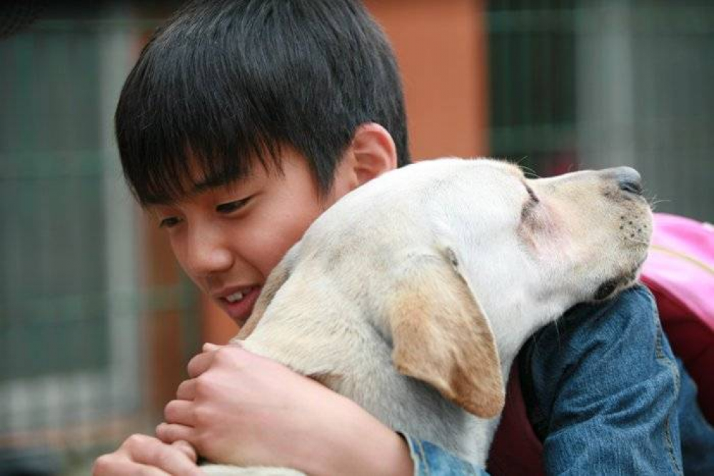 Series Phim Chú Chó Tuyệt Vời - Hearty Paws Series Phim Chú Chó Tuyệt Vời - Hearty Paws