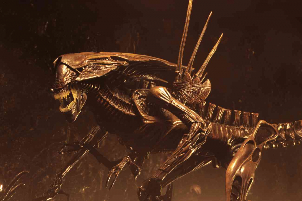 Series Phim Quái vật không gian - Alien Series Phim Quái vật không gian - Alien