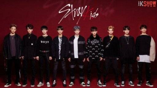 Stray Kids (2017) (2017)