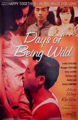 A Phi Chính Truyện, Days of Being Wild / Days of Being Wild (1990)