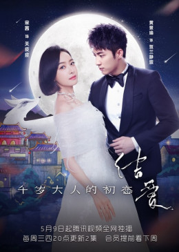The Love Knot: His Excellency's First Love / The Love Knot: His Excellency's First Love (2018)