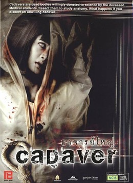 Cadaver / Cadaver (2020)