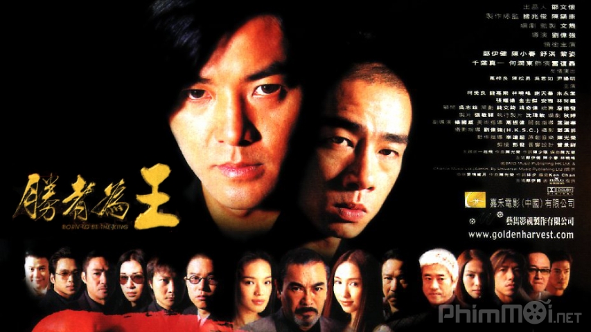Young and Dangerous 6: Born To Be King (2000)