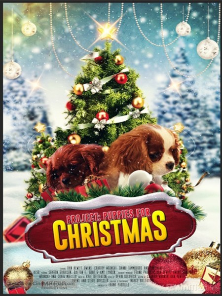 Cún Con Cho Giáng Sinh, Project: Puppies for Christmas (2019)