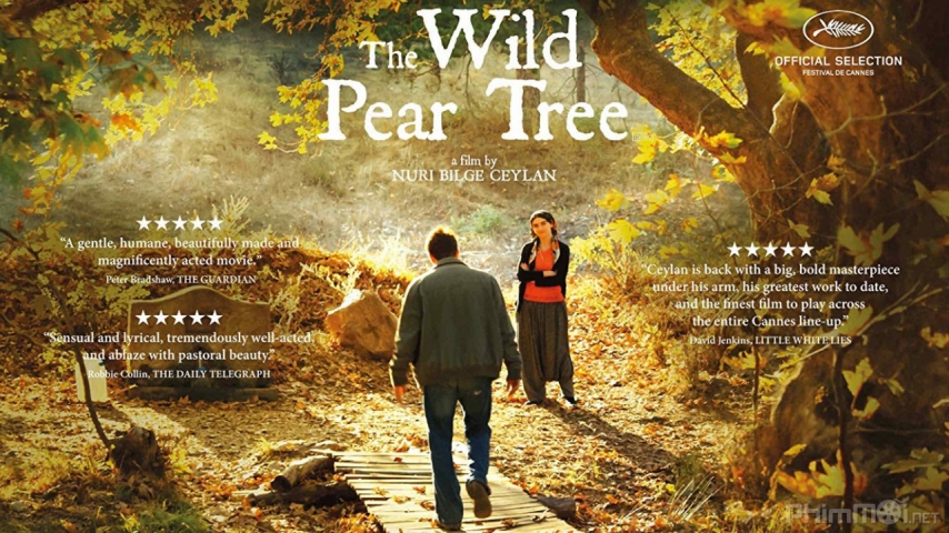 Xem Phim Cây Lê Dại, The Wild Pear Tree 2018
