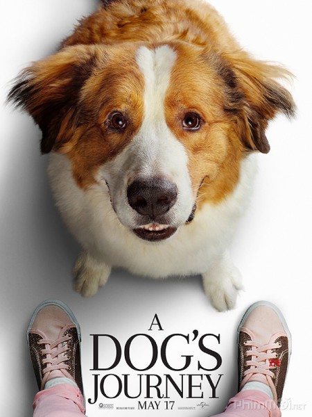 Hành Trình Của Chú Chó Bailey, A Dog's Journey (2019)