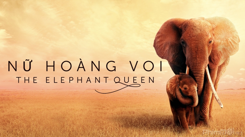 Xem Phim Nữ Hoàng Voi, The Elephant Queen 2019