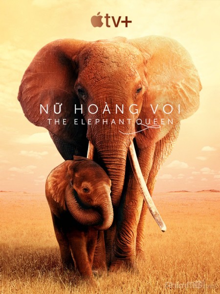 Nữ Hoàng Voi, The Elephant Queen / The Elephant Queen (2019)