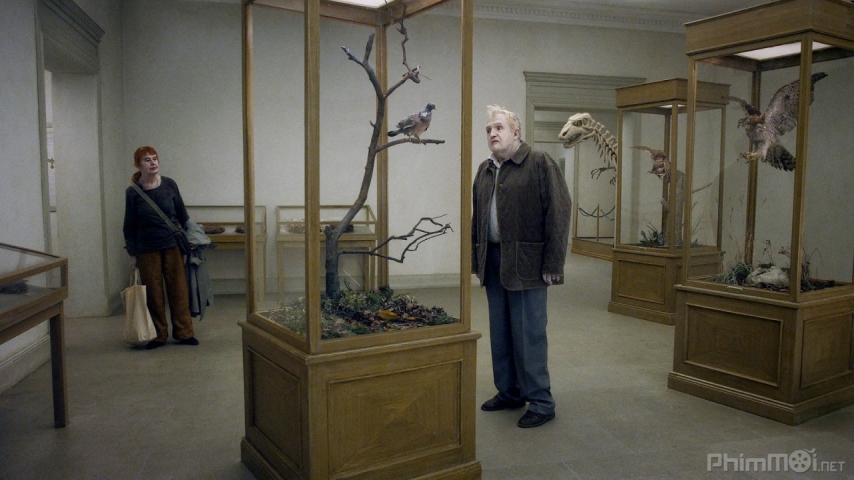 Xem Phim Nhìn cuộc đời qua đôi mắt chim câu, A Pigeon Sat on a Branch Reflecting on Existence 2014