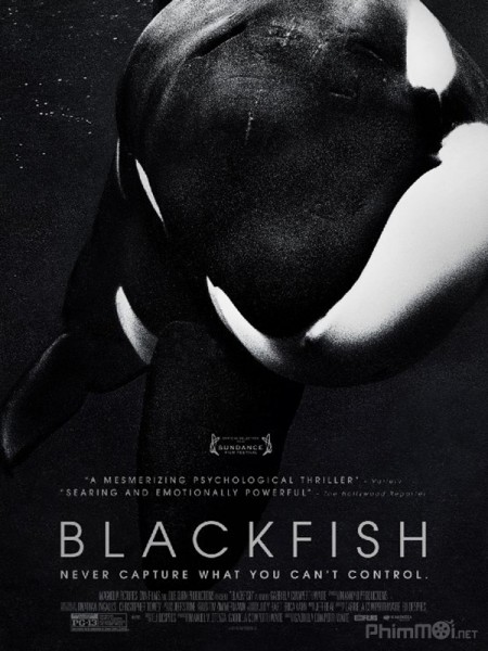 Blackfish / Blackfish (2013)