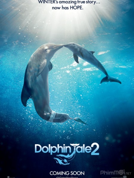 Câu Chuyện Cá Heo 2, Dolphin Tale 2 / Dolphin Tale 2 (2014)