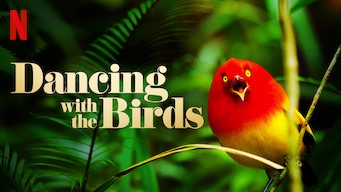 Xem Phim Vũ điệu của loài chim, Dancing with the Birds 2019