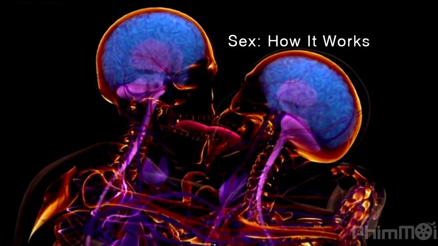 Sex: How It Works (2013)