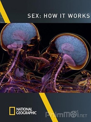 Sex: How It Works (2013)