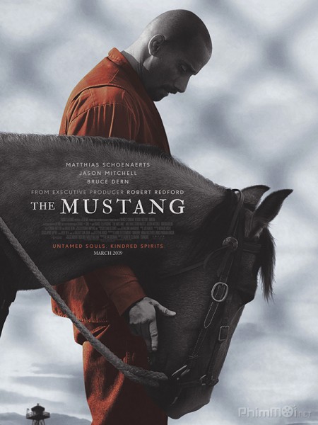 The Mustang / The Mustang (2019)