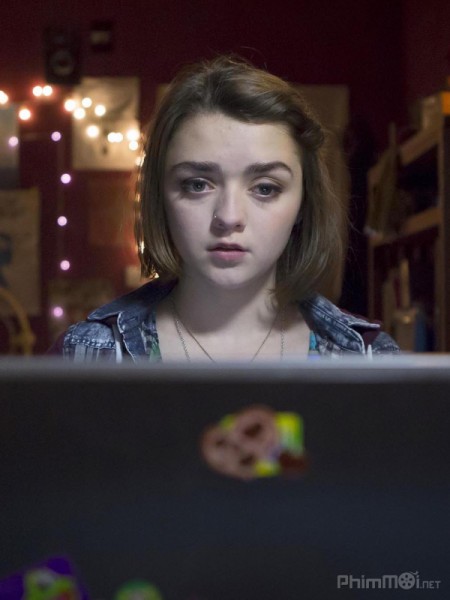 Hăm dọa, Cyberbully (2015)