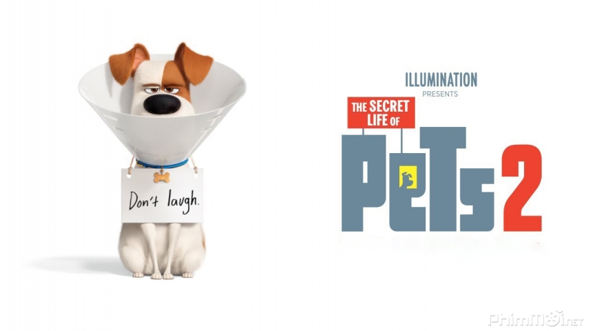 Xem Phim Đẳng Cấp Thú Cưng 2, The Secret Life of Pets 2 2019