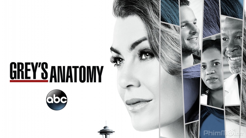 Xem Phim Ca Phẫu Thuật Của Grey (Phần 12), Grey's Anatomy (Season 12) 2015