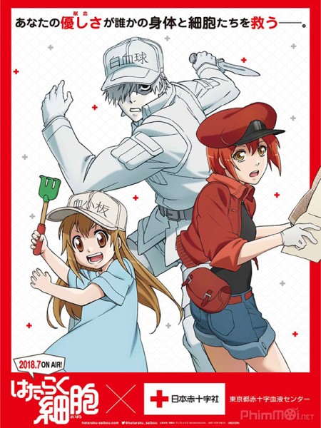 Cells At Work (2018)