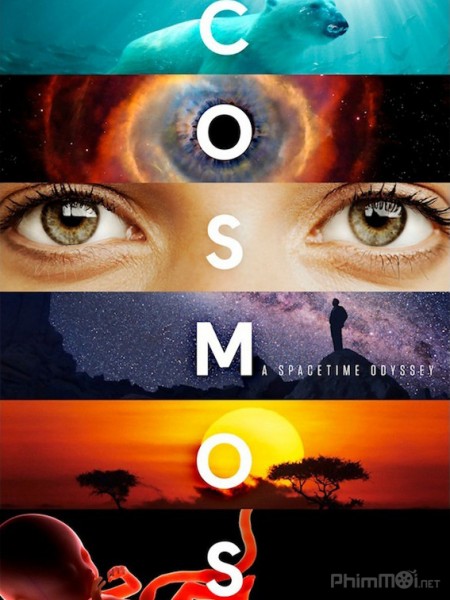 Cosmos: A Space-Time Odyssey (2014)