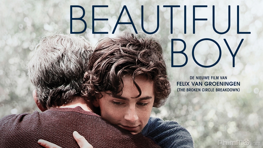 Beautiful Boy / Beautiful Boy (2018)