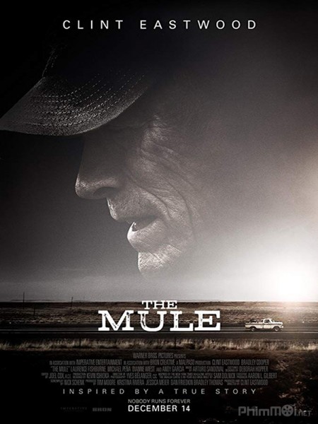 Già Gân, The Mule / The Mule (2018)