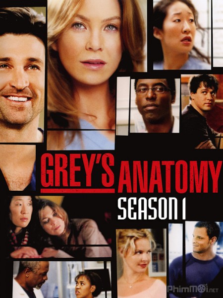 Ca Phẫu Thuật Của Grey (Phần 1), Grey's Anatomy (Season 1) (2005)