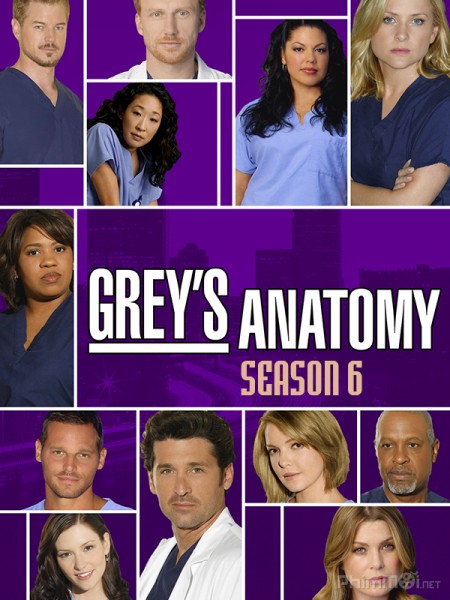 Grey's Anatomy (Season 6) (2009)