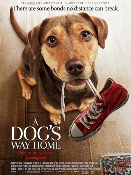 A Dog's Way Home / A Dog's Way Home (2019)