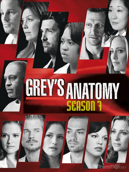Grey's Anatomy (Season 7) (2010)