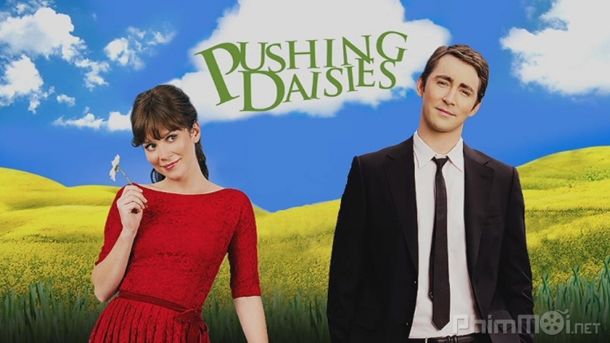 Xem Phim Nhật ký hoa cúc (Phần 1), Pushing Daisies (Season 1) 2007