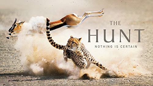 The Hunt (BBC) (2015)