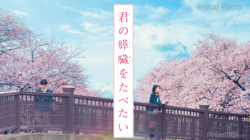 Xem Phim Tớ Muốn Ăn Tụy Của Cậu!, Let Me Eat Your Pancreas (Live-action) 2017