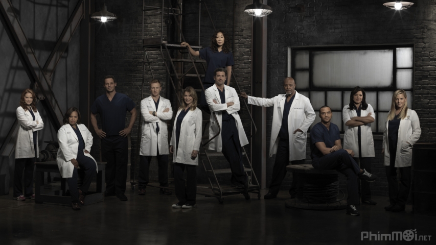 Xem Phim Ca Phẫu Thuật Của Grey (Phần 9), Grey's Anatomy (Season 9) 2012