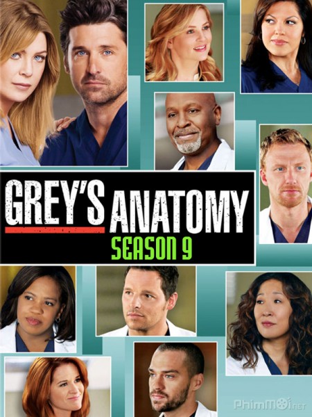 Ca Phẫu Thuật Của Grey (Phần 9), Grey's Anatomy (Season 9) (2012)