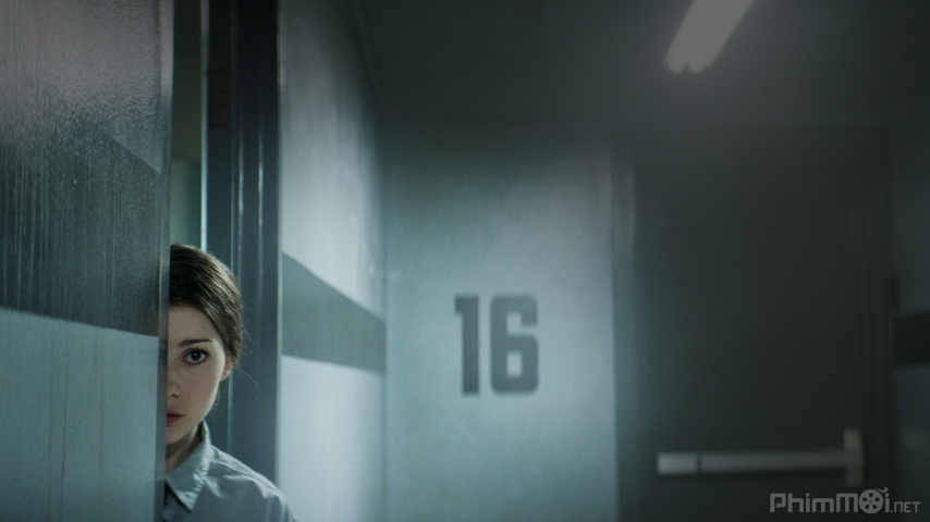 Level 16 (2019)