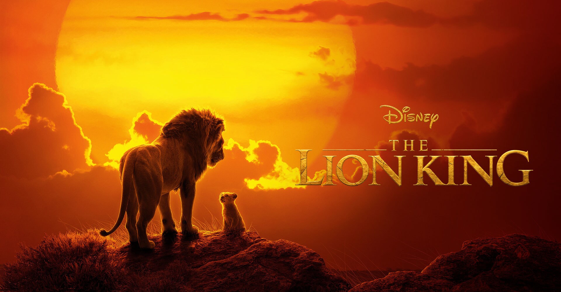 Xem Phim Vua Sư Tử, The Lion King 2019