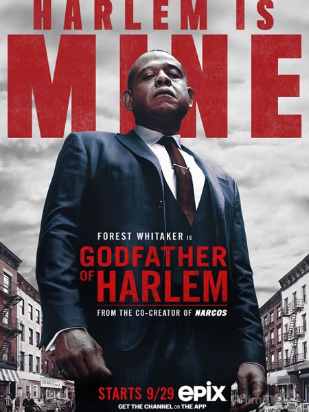 Bố Già Vùng Harlem (Phần 1), Godfather of Harlem (Season 1) (2020)