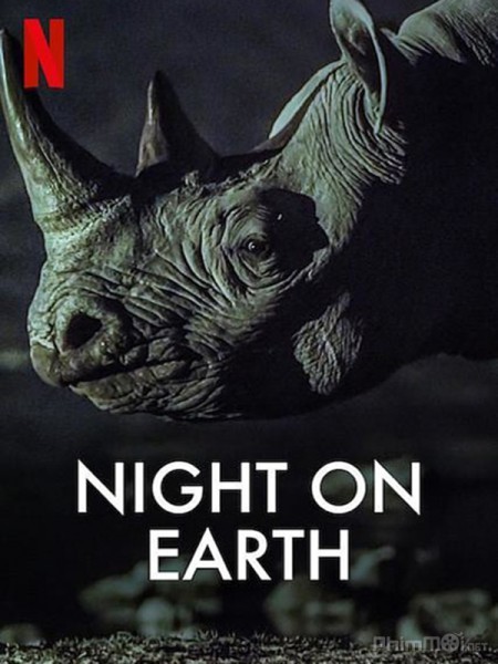 Night On Earth (Season 1) (2020)