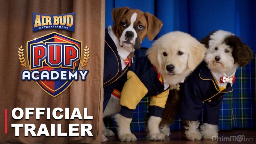 Xem Phim Học Viện Cún Con, Pup Academy 2019