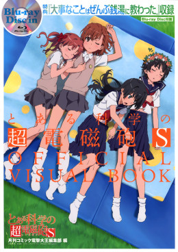 To Aru Kagaku No Railgun S (2013)