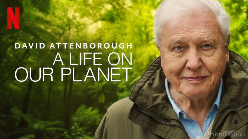 Xem Phim David Attenborough: Một cuộc đời trên Trái Đất, David Attenborough: A Life on Our Planet 2020