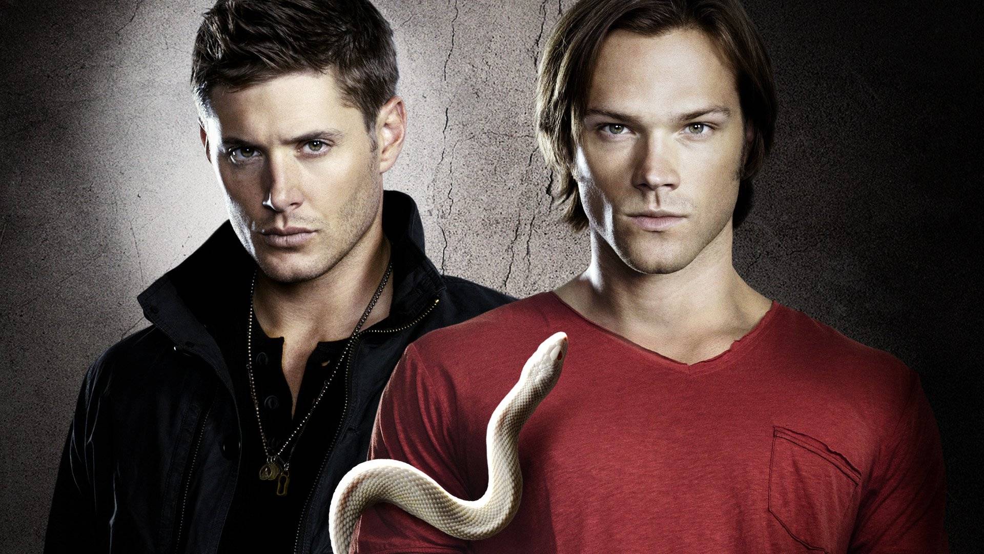 Supernatural Season 6 (2010)
