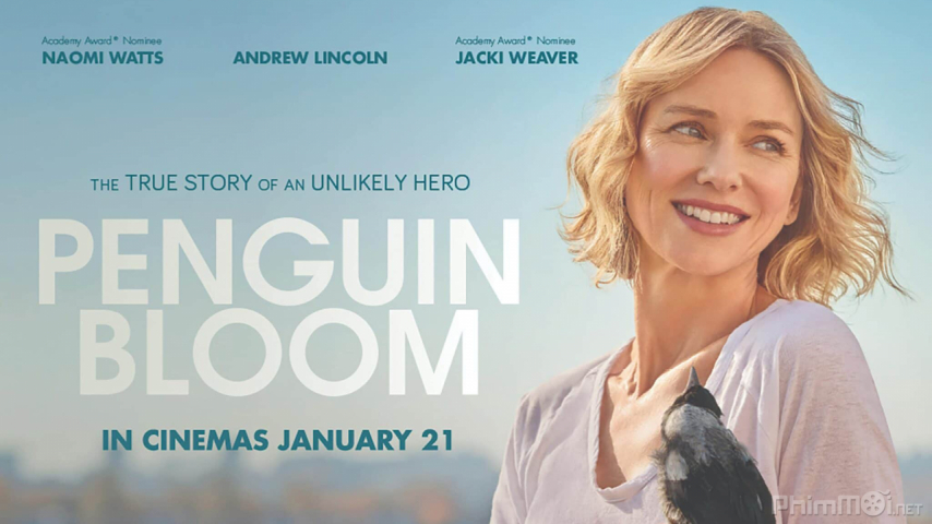 Penguin Bloom / Penguin Bloom (2021)