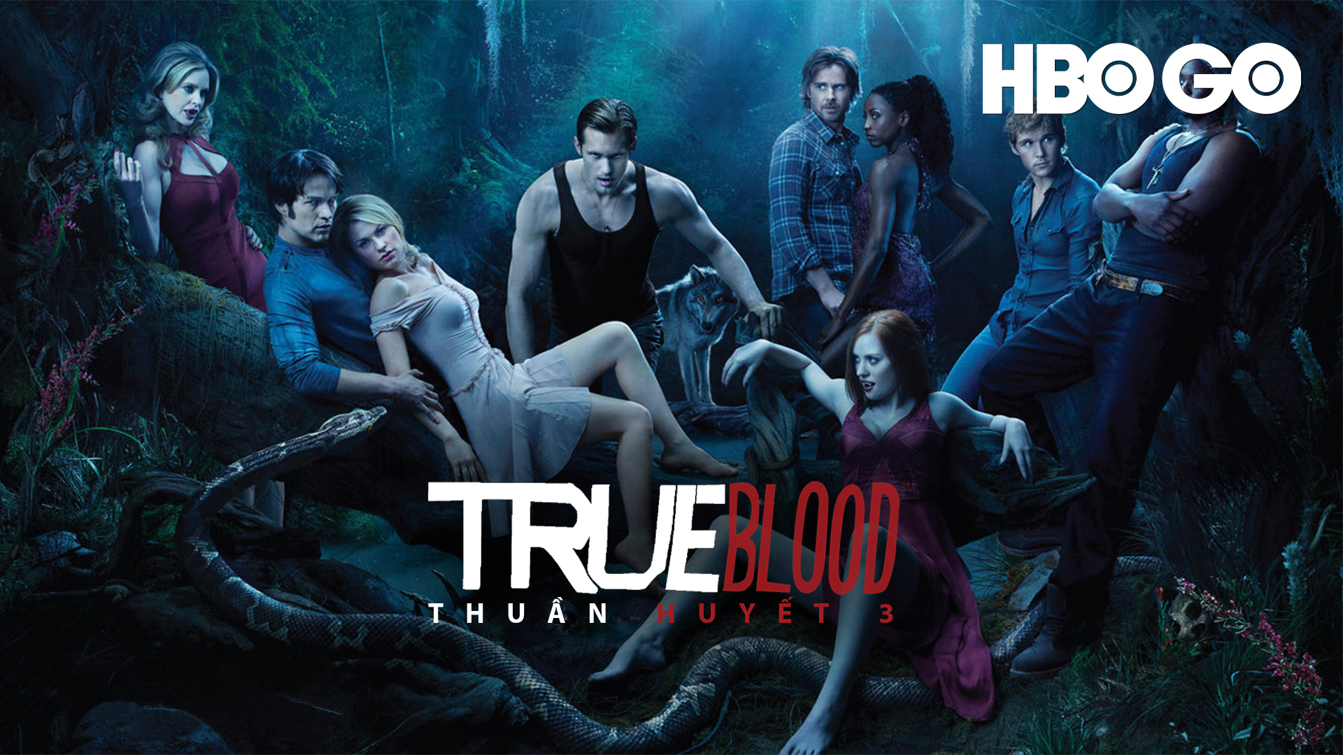 Xem Phim Thuần huyết (Phần 3), True Blood (Season 3) 2010