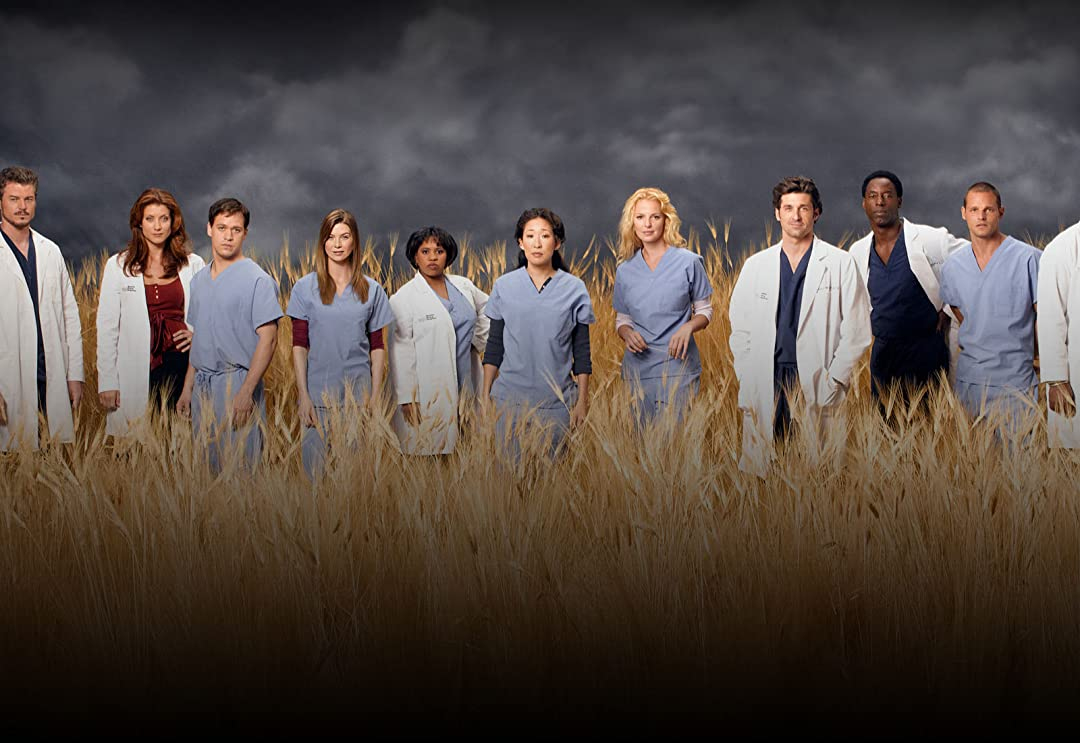 Grey's Anatomy (Season 3) (2006)