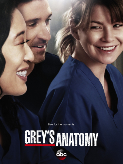 Grey's Anatomy (Season 10) (2014)