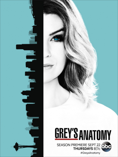 Grey's Anatomy (Season 13) (2016)